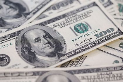 Merkez Bankası rezervleri 80 milyon dolar arttı