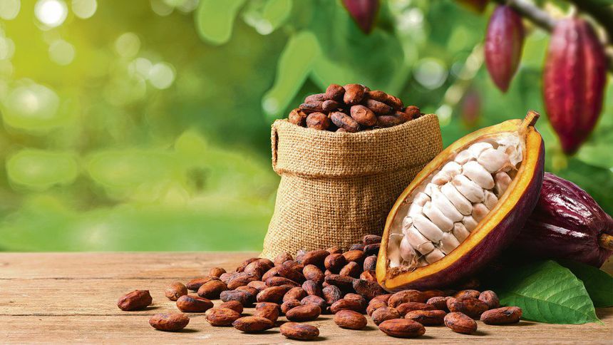 Kakao yükseliş, kahve düşüş sinyali veriyor