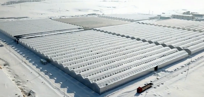 'Diyadin Sera OTB 36 bin tonluk üretime ulaşacak'