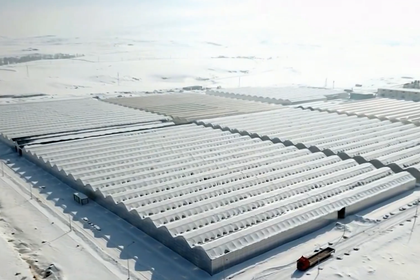 'Diyadin Sera OTB 36 bin tonluk üretime ulaşacak'