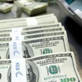 Firmaların net döviz açığı temmuzda 182,6 milyar dolar