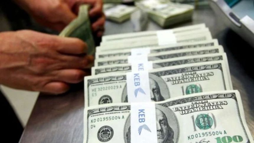Merkez’den 5 hafta üst üste döviz satışı