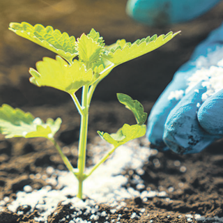 Gübre piyasası zorda, fiyat artıyor talep düşüyor