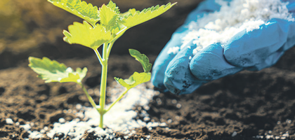Gübrede vergi sıfırlanması moral oldu, ancak ham madde sıkıntısı var