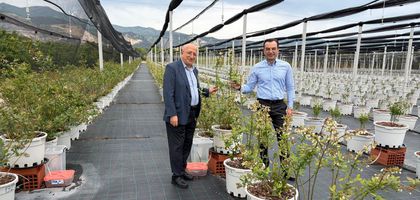 10 bin dolarla yola çıkıp  Yunan pamuğu lideri oldu, Türkiye’den Çin’e pamuk satıyor