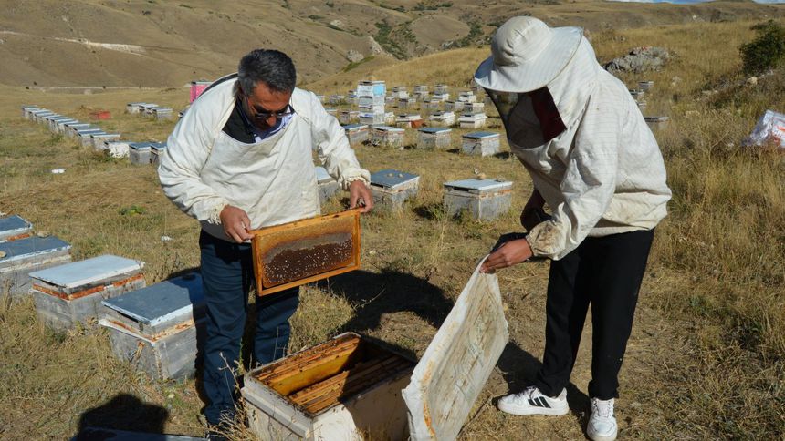 60 haneli mahallede yıllık 60 tonluk bal üretimi