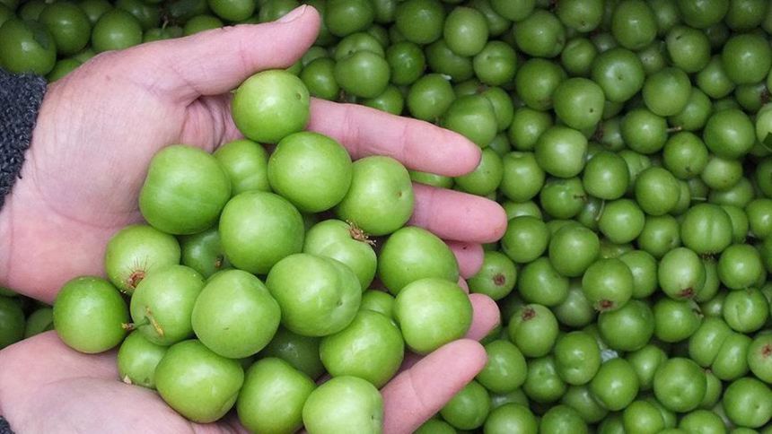 İTO verileri: Mayısta en çok eriğin fiyatı arttı