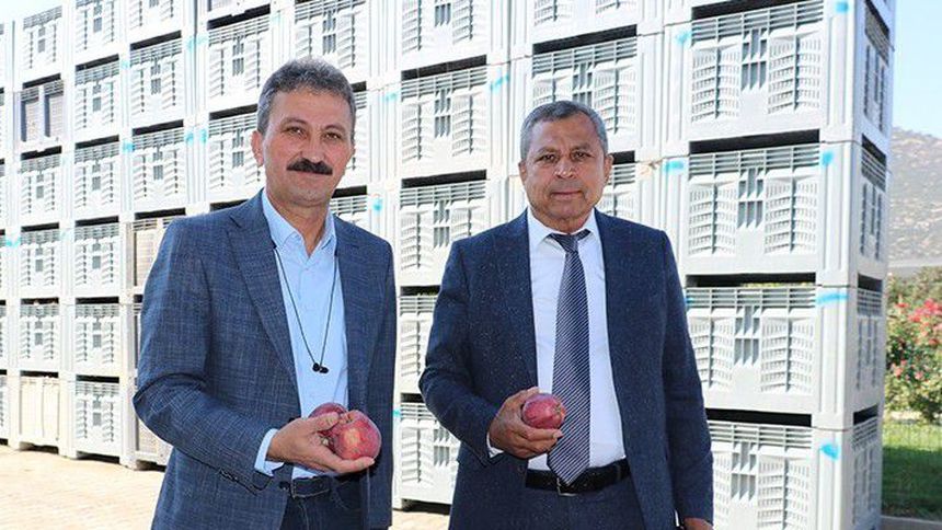 Hasat başladı, elma dalında 40 lira