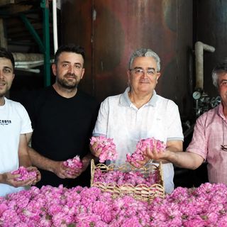 'Burdur, Türkiye'nin ikinci büyük yağlık gül üretim merkezi'