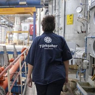 TürkŞeker'in pancar alım fiyatı açıklandı