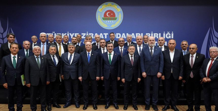 davut dogan1111