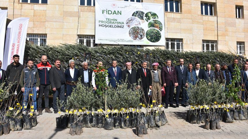 Şırnak'ta çiftçilere meyve fidanı dağıtıldı