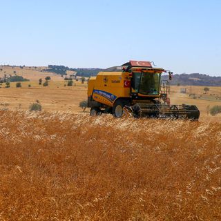 Tarımsal girdi fiyatları kasımda yüzde 1,84 arttı