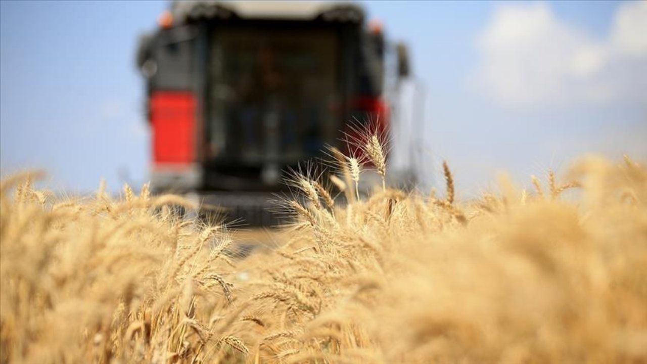 Türkiye FAO’nun üst yönetim organı olan Konsey Üyeliğine seçildi Türkiye FAO’nun üst yönetim organı olan Konsey Üyeliğine seçildi