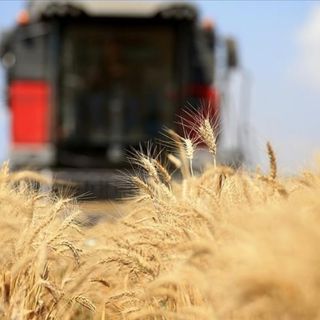 Türkiye, FAO konsey üyeliğine seçildi