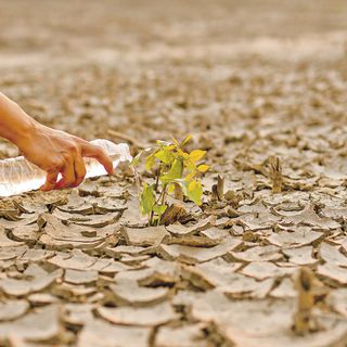 Susuzluğa karşı mücadele faturası asgari 65 milyar dolar olacak