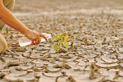 Tarımda su verimliliği sağlanamazsa çok yakında gıda krizi kapıyı çalacak