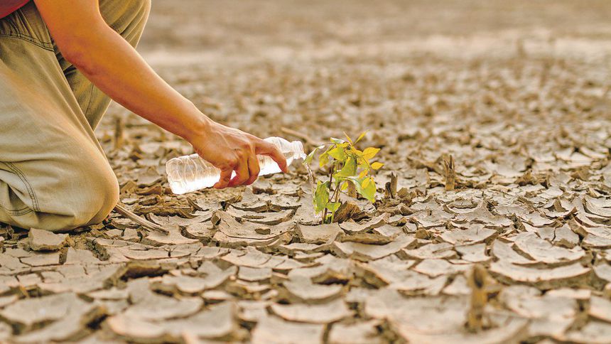 Tarımda su verimliliği sağlanamazsa çok yakında gıda krizi kapıyı çalacak
