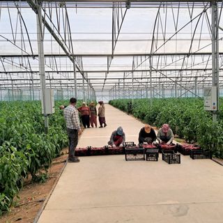 TKDK'den 60 depremzede girişimciye 200 milyon liralık fark ödemesi