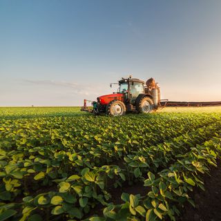 Ege Bölgesi’nin tarım ürünleri ihracatı 7,5 milyar doları aştı