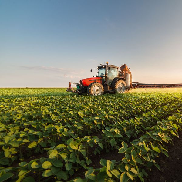 Savaşta yeni cephe tarım!