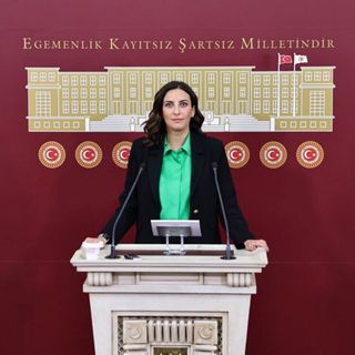 '40’a yakın köy sürgüne uğrayacak, bu zeytin değil çevre sürgünü'