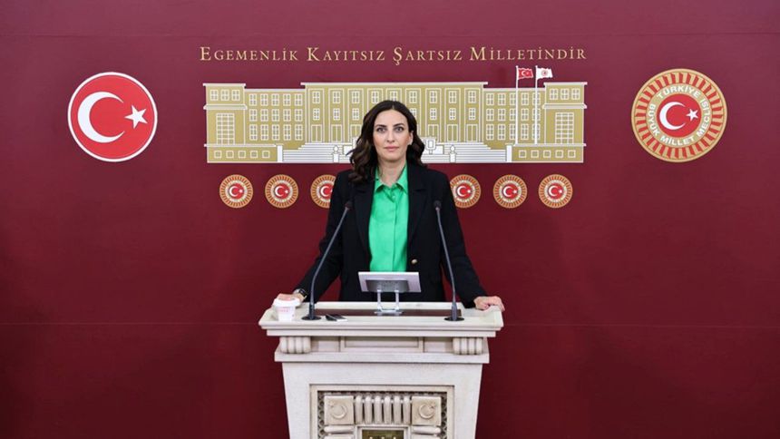 '40’a yakın köy sürgüne uğrayacak, bu zeytin değil çevre sürgünü'
