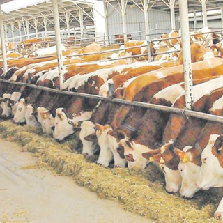 3 birlikten ortak açıklama: Mevcut uygulamalardan geri adım atılmamalı