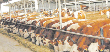 3 birlikten ortak açıklama: Mevcut uygulamalardan geri adım atılmamalı