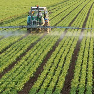 Türk organik sektörü, Çin’le iş birliklerini artırmak istiyor