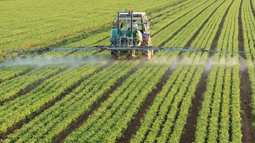 Türk organik sektörü, Çin’le iş birliklerini artırmak istiyor