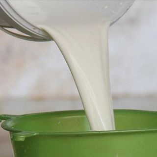 TÜSEDAD’a göre eylülde çiğ süt maliyeti 29.34 TL’ye yükseldi