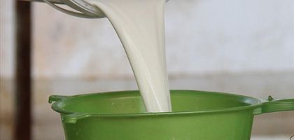 TÜSEDAD: Eylülde çiğ süt maliyeti 29.34 TL’ye yükseldi