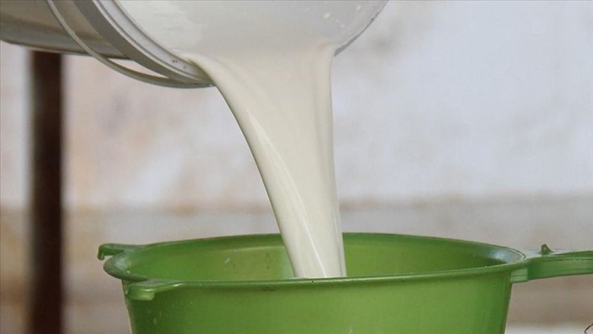 TÜSEDAD’a göre eylülde çiğ süt maliyeti 29.34 TL’ye yükseldi