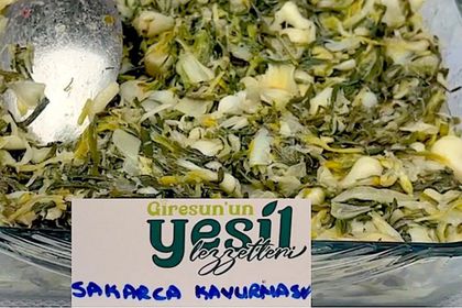 Yeşil Lezzetler Festivali ve Giresun’un yenilebilir otları