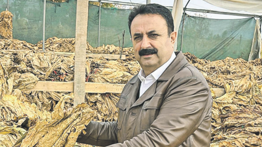İşleme yatırımlarındaki artış tütün tarımını da büyütecek