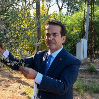 'Zeytin, yalnızca bir meyve değil, aynı zamanda bir kültür, bir yaşam biçimidir'
