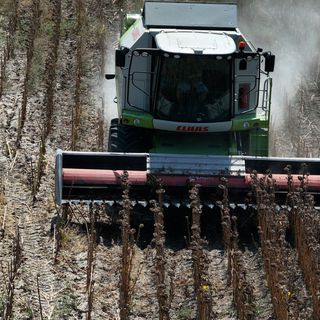 Tarımda enerji verimliliğine 209 milyon lira hibe desteği