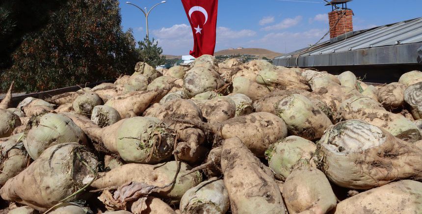 davut dogan1111