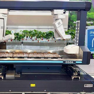 Dünyanın ilk ticari çilek hasat robotu Türkiye’de