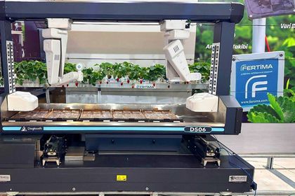 Dünyanın ilk ticari çilek hasat robotu Türkiye’de