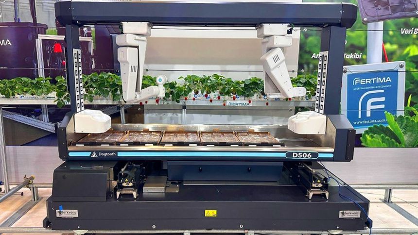 Dünyanın ilk ticari çilek hasat robotu Türkiye’de