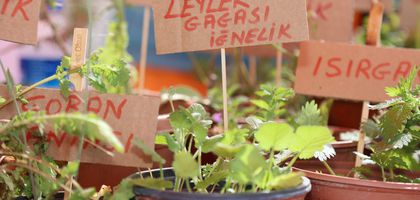 Urla Ot Bayramı, 28-29 Mart tarihlerinde yapılacak