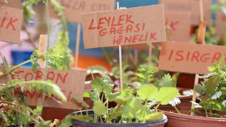 Urla Ot Bayramı, 28-29 Mart tarihlerinde yapılacak