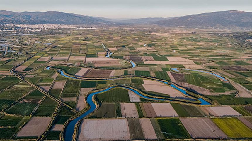 Tarımda planlı üretim Büyük Menderes Havzası’nda suya düştü