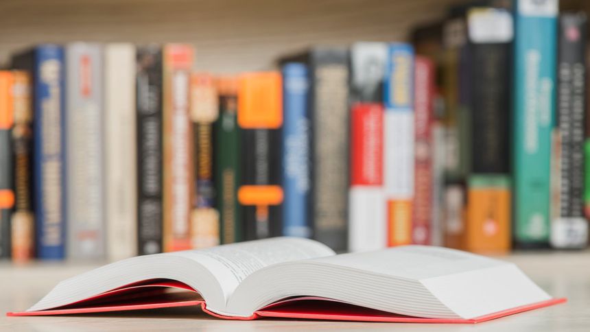 edebiyattan iş dünyasına 2025’in yıldız kitapları