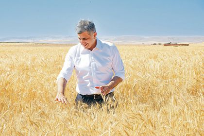ETİ’nin tarladan başlayan dayanıklılık yatırımı: Kanatlı Buğdayı