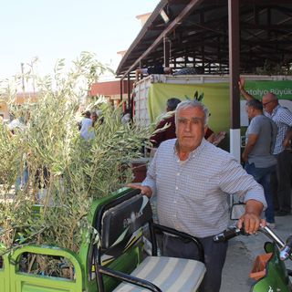Antalya Büyükşehir’den çiftçilere 40 bin zeytin fidanı desteği