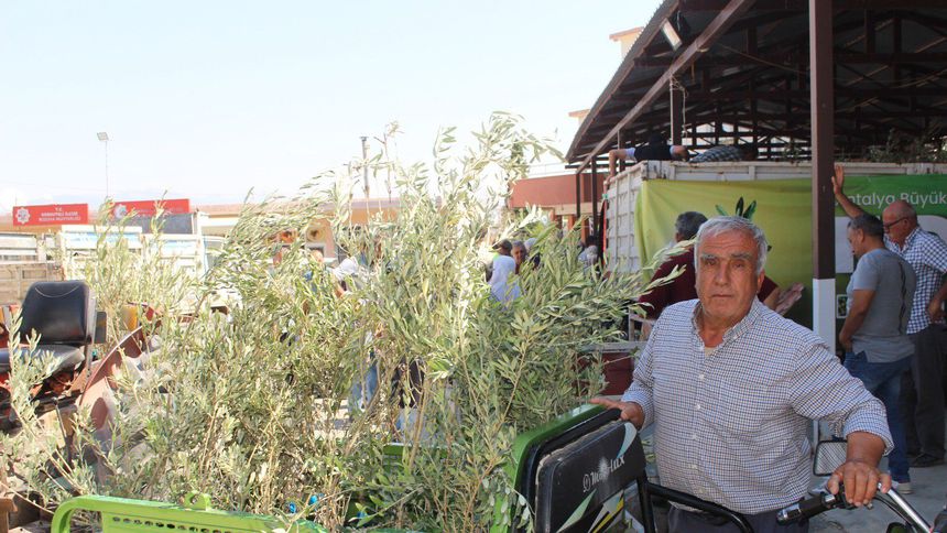 Antalya Büyükşehir’den çiftçilere 40 bin zeytin fidanı desteği