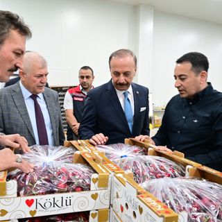 Kiraz ihracatçıları Çin pazarının açılmasını bekliyor